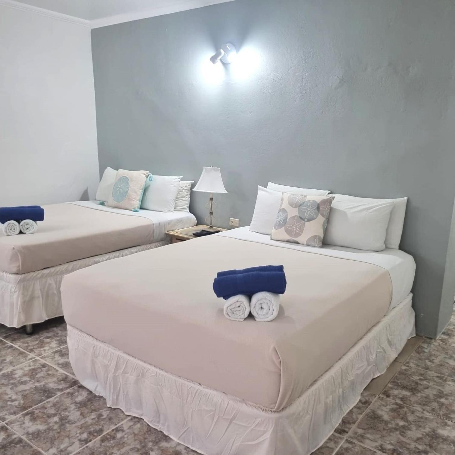 Palm Beach Retreat المظهر الخارجي الصورة